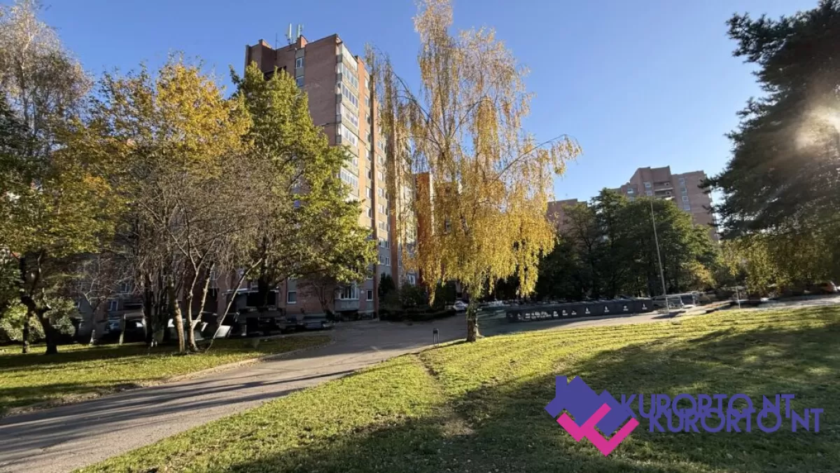 foto18