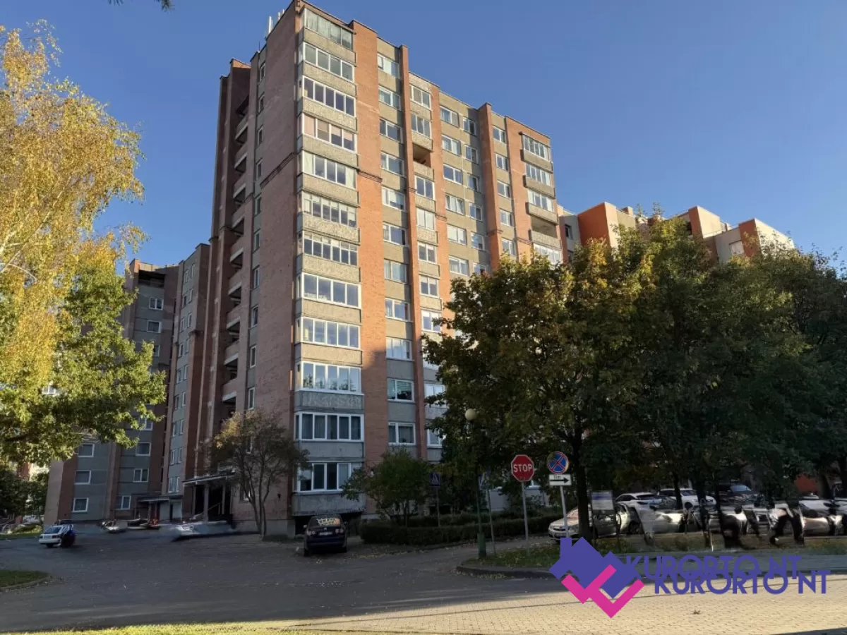 foto19